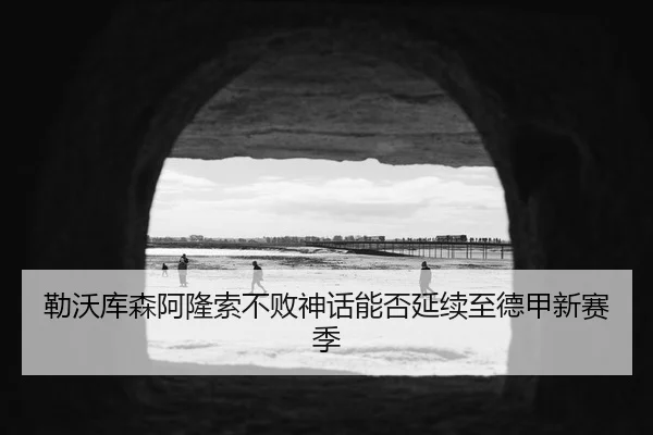 勒沃库森阿隆索不败神话能否延续至德甲新赛季