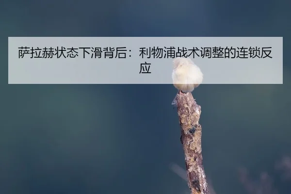 sa-la-he-zhuang-tai-xia-hua-bei-hou-li-wu-pu-zhan-shu-tiao-zheng-de-lian-suo-fan-ying-2-743.jpg