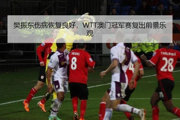 樊振东伤病恢复良好，WTT澳门冠军赛复出前景乐观